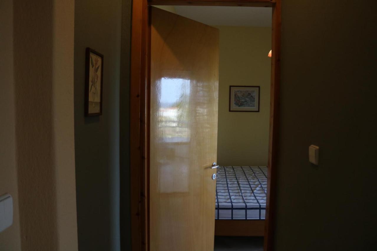 Apartment Of Zeus/leptokarya *