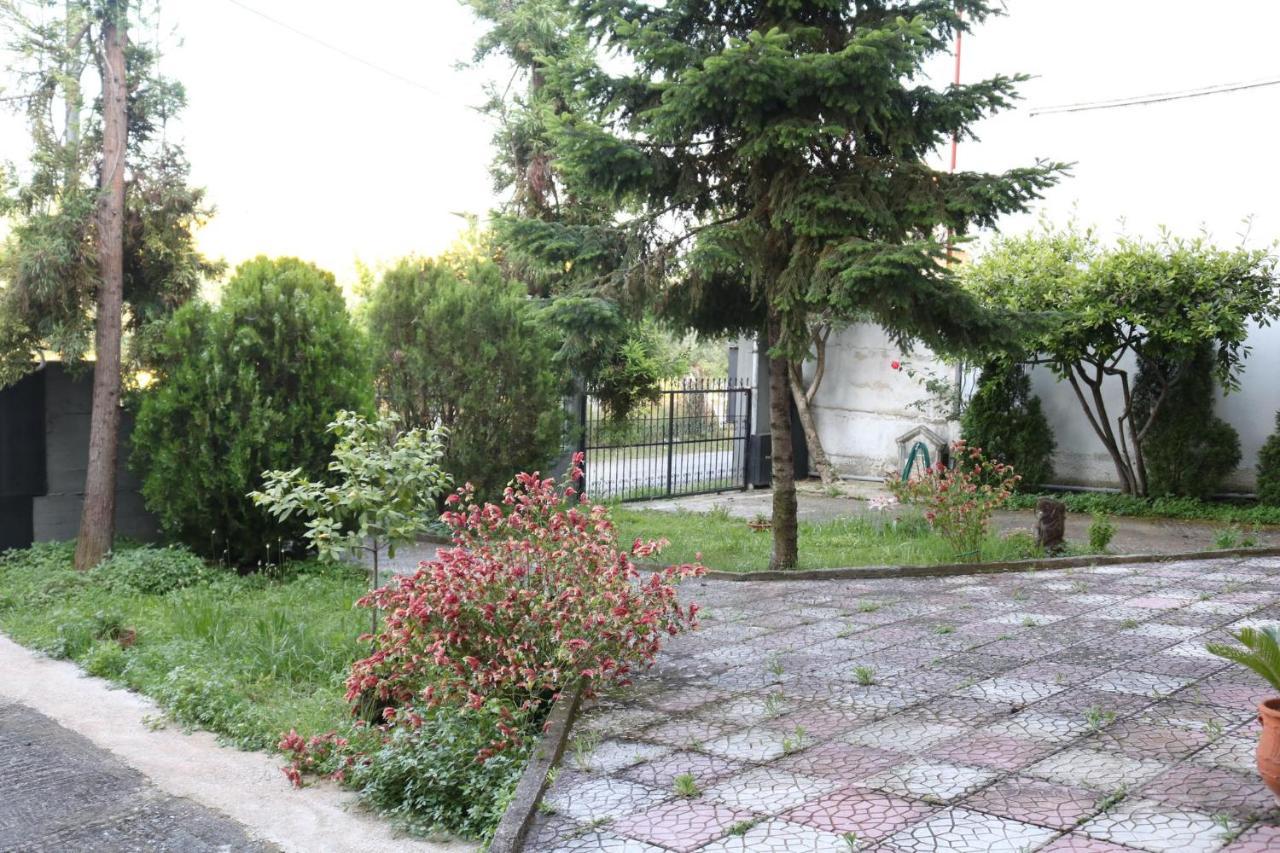 Of Zeus/leptokarya Apartment